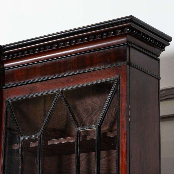 Monumental Irish Georgian Ebonised Mahogany & Astral Glazed Breakfront Bookcase - Image 12