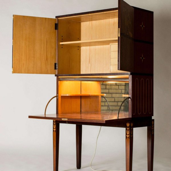 Midcentury Modern Unique Cabinet by Axel Einar Hjorth, Sweden, 1930s - Image 11