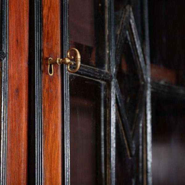 Monumental Irish Georgian Ebonised Mahogany & Astral Glazed Breakfront Bookcase - Image 13