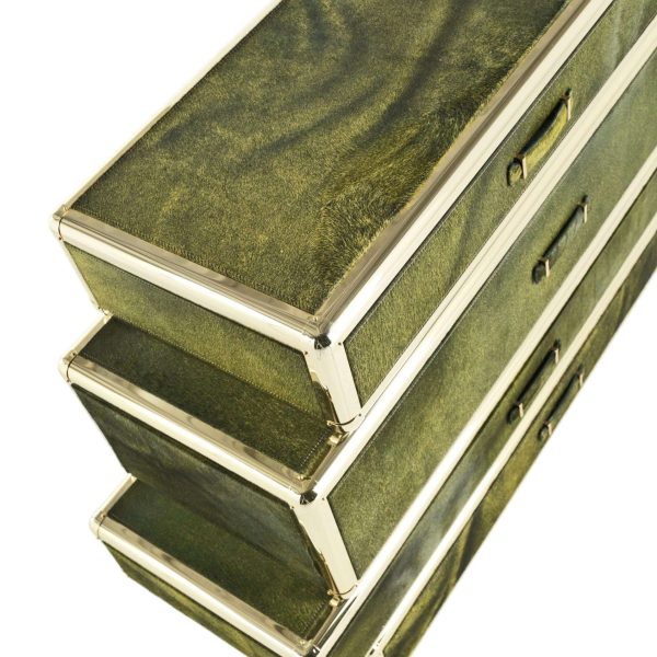 21st Century Fly Case Chest of Drawers by Roberto Cavalli Home Interiors - Image 4