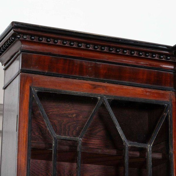Monumental Irish Georgian Ebonised Mahogany & Astral Glazed Breakfront Bookcase - Image 9