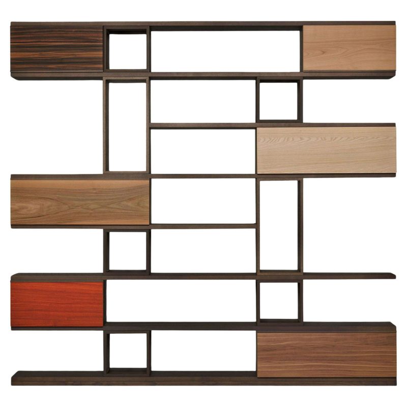 Swing Bookcase by Libero Rutilo